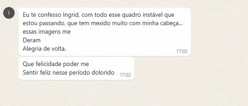 Mensagem de cliente contando que as imagens do projeto lhe devolveram a alegria